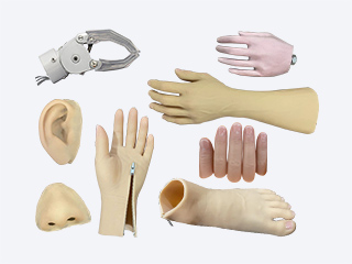 Extremidad prot&eacute;sica